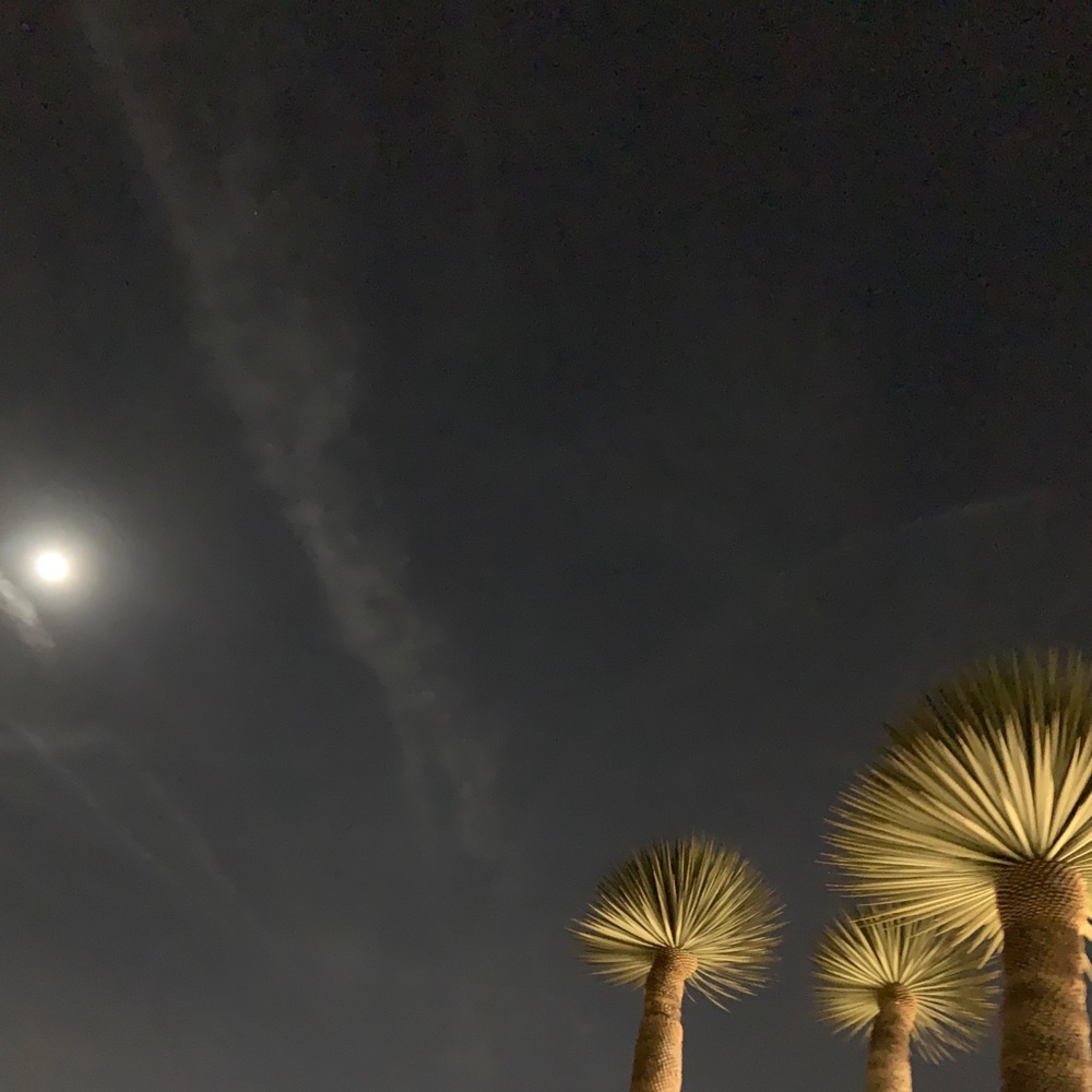 Meet your Posher, Kristi